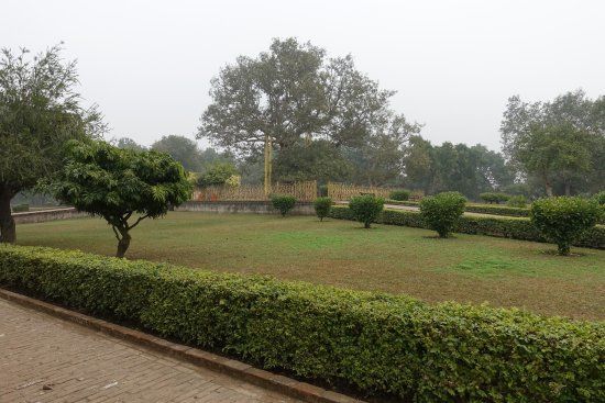 Jetavana